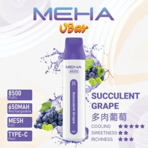 MEHA魅嗨8500口 小白條- 新款電子煙推薦-超靚拋棄式電子煙/一次性電子煙:圖片 9